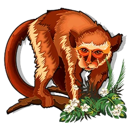 Dragon Cash monkey symbol