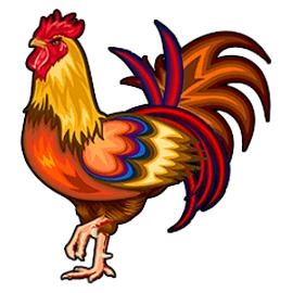 Dragon Cash rooster symbol